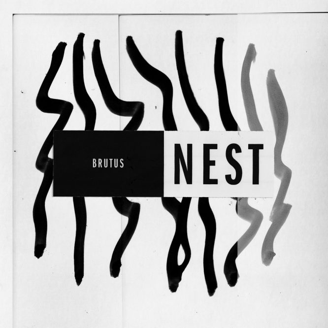Brutus-Nest